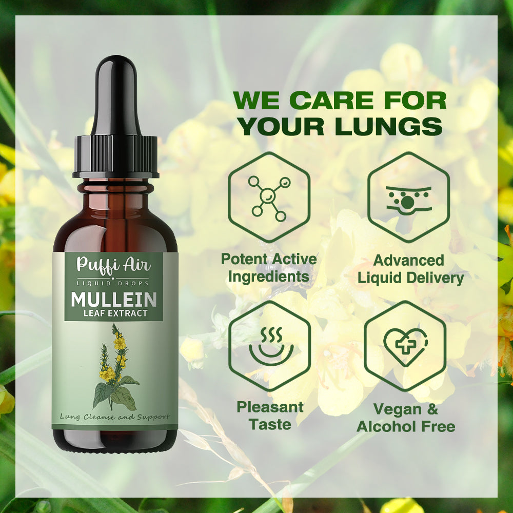 PuffiAir Mullein Leaf Extract-  30ml